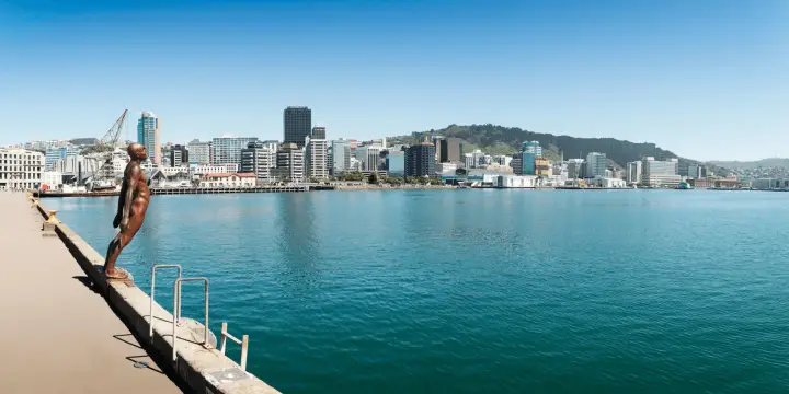 Flight to Wellington