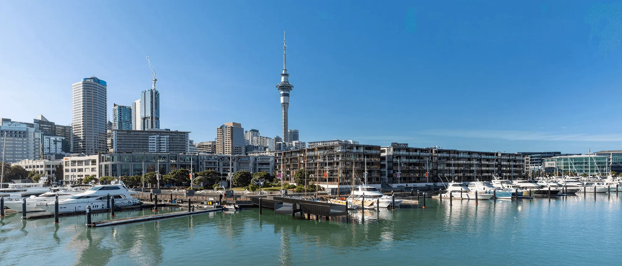 Business class flights to Auckland