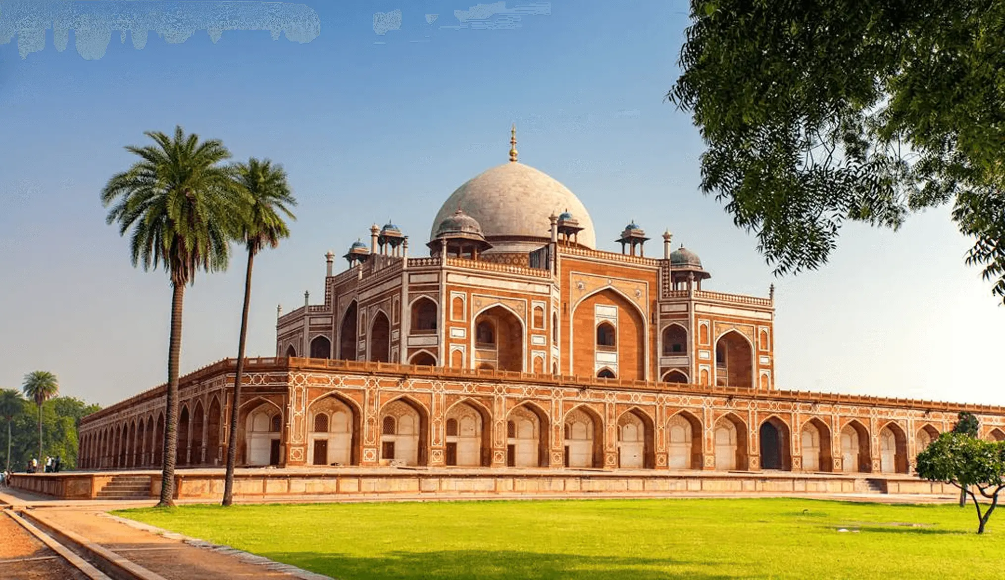 Business class flights to Delhi